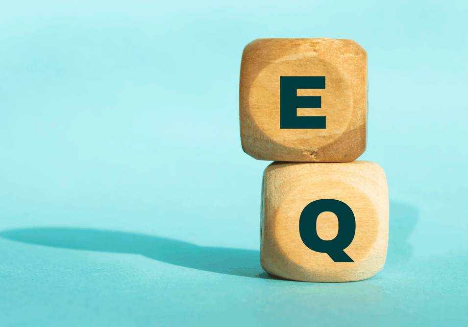 Emotional Intelligence